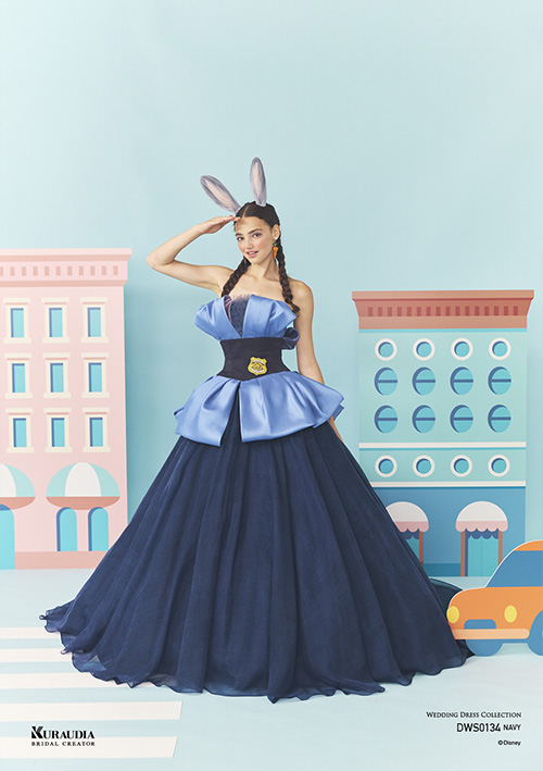 DWS0134 Navy